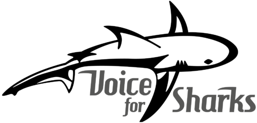 Voice for Sharks